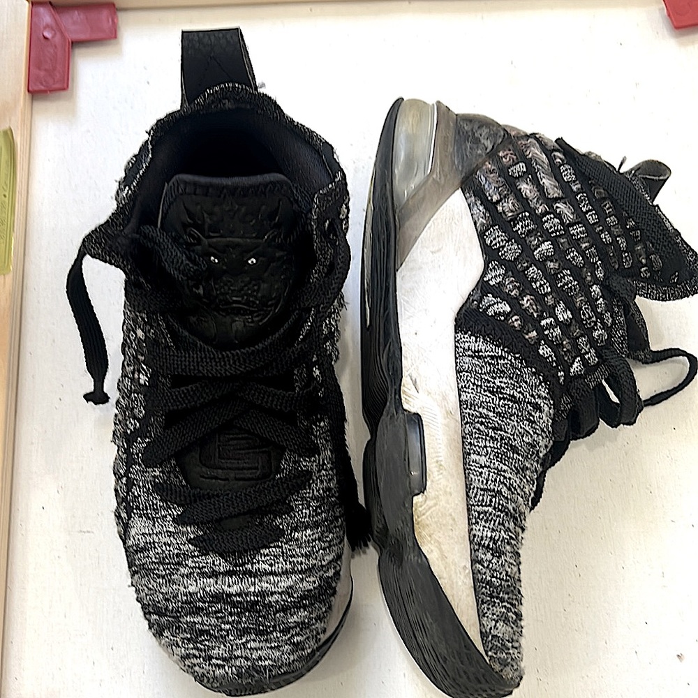 Lebron 17 grate condition